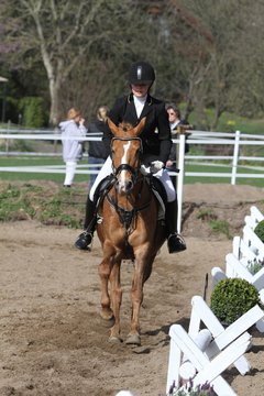 Bild 937 - WBO-Turnier am 9.4.11